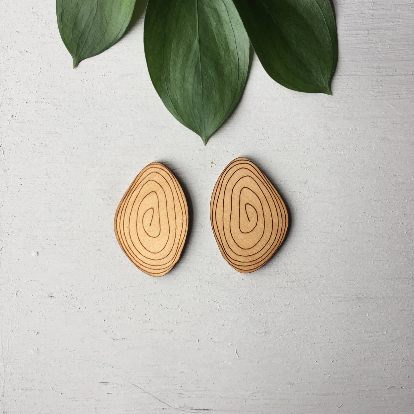 Tree Ring -  Wooden Laser Cut Earrings || Modern Geometric Jewelry