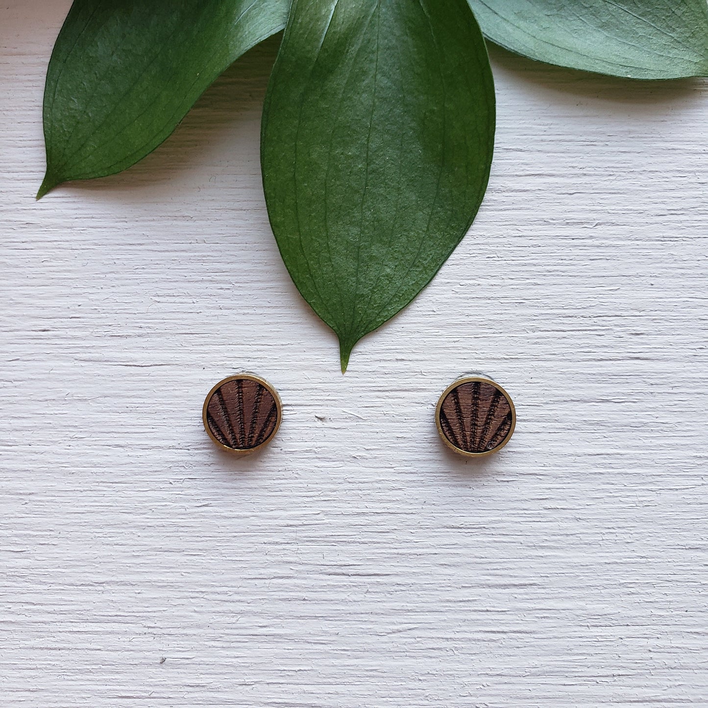 Sun Ray Circles in Walnut - Laser Cut Earrings || Modern Geometric Jewelry